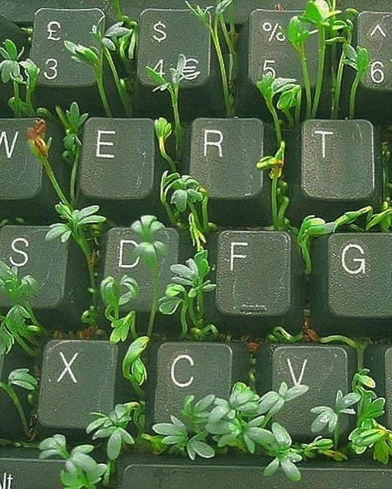 A green keyboard overtaken by fresh green sprouts